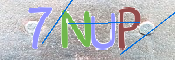 キャプチャ画像