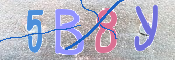 キャプチャ画像
