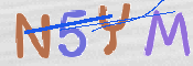 キャプチャ画像