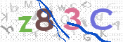 キャプチャ画像