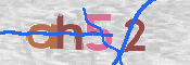 キャプチャ画像