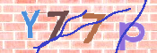 キャプチャ画像