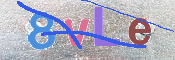 キャプチャ画像