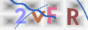 キャプチャ画像