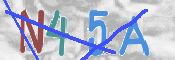 キャプチャ画像