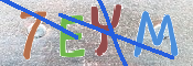 キャプチャ画像